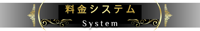 「System Title」