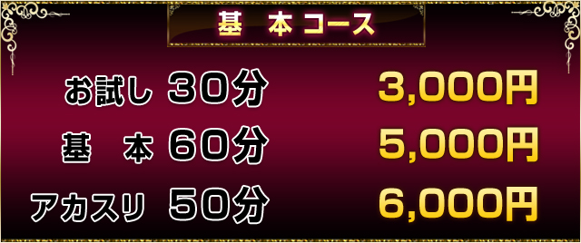 「料金システム」